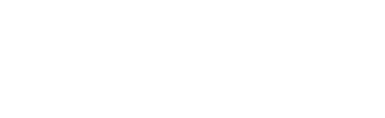 logo RamoneurPourCheminee